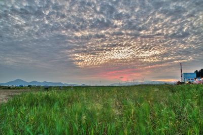 Scenic view of field against sky during sunset