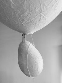 Close-up of balloons hanging on white plate