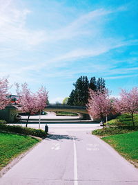 Road amidst flowering trees against sky in city