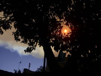 Silhouette trees against sky during sunset