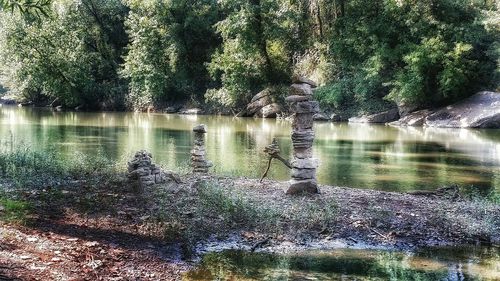 Reflection of trees in water