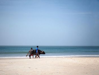 People riding horse on beach against clear sky