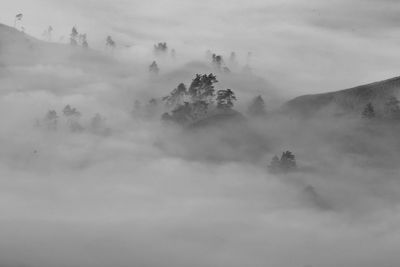 Scenic view of tree mountain against sky