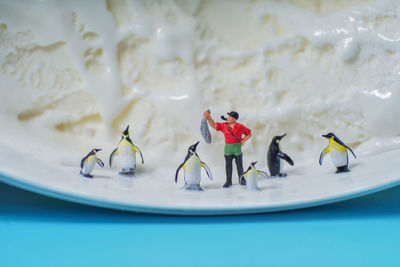 Close-up of ice cream in plate