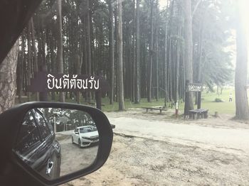 Information sign on tree trunk in forest