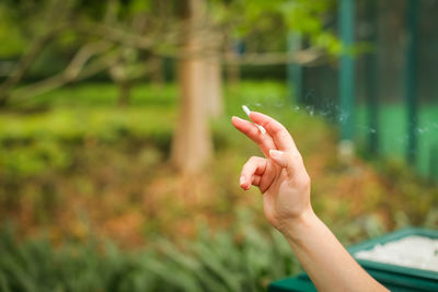 Cropped hand of woman holding cigarette against trees