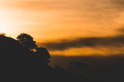 Low angle view of silhouette trees against orange sky