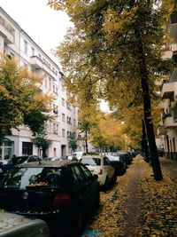 Cars parked in front of building