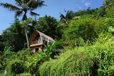 The beautiful villa is full of plants and flowers with a tropical feel, karangasem, bali, indonesia.