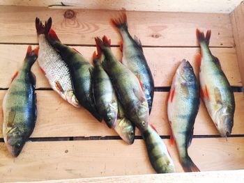 High angle view of fish in wooden box
