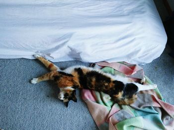 High angle view of man lying on bed at home