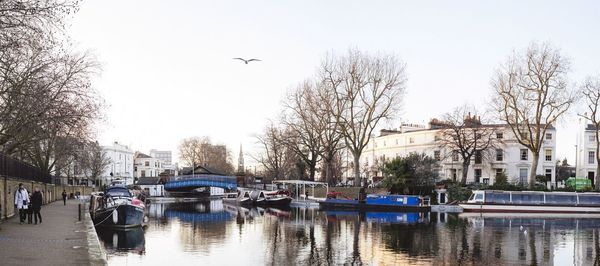 Bird flying over river