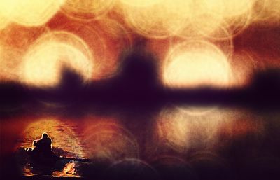 View of trees at sunset