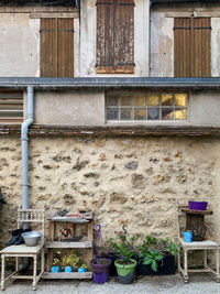 Potted plants on balcony of building