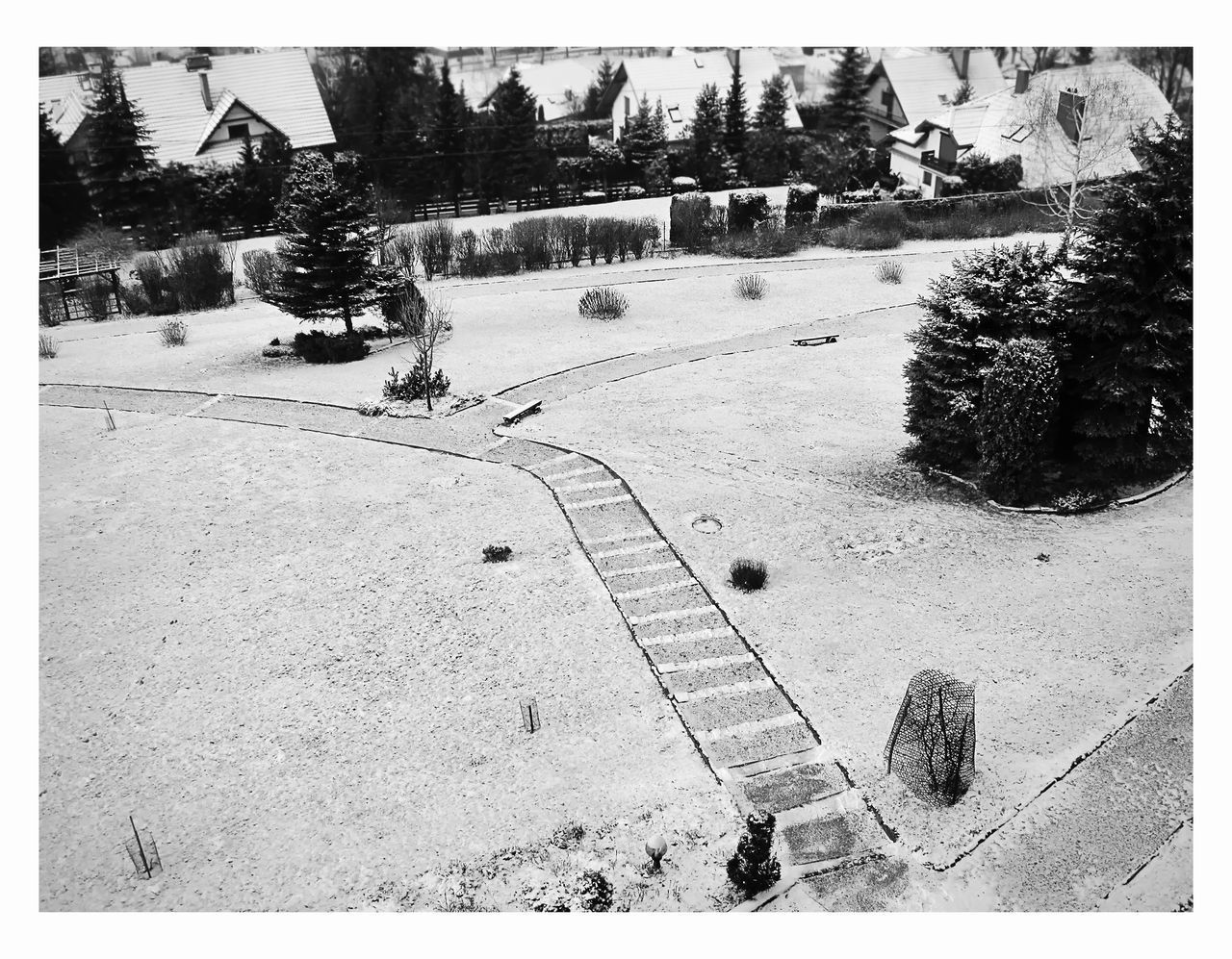 HIGH ANGLE VIEW OF TREES DURING WINTER