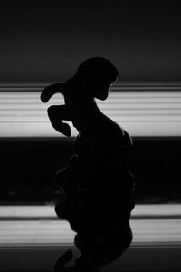 Close-up portrait of silhouette woman against window