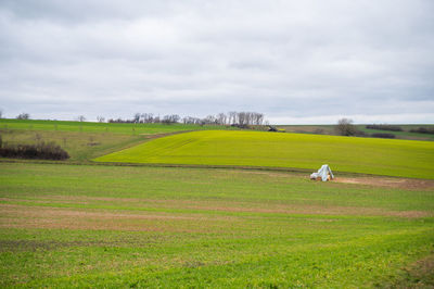 landscape