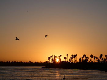 Silhouette birds flying over lake against sky during sunset