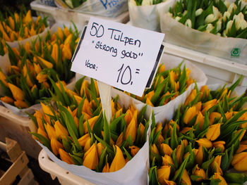 Close-up of food for sale