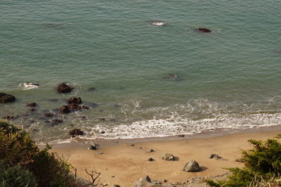 Scenic view of beach