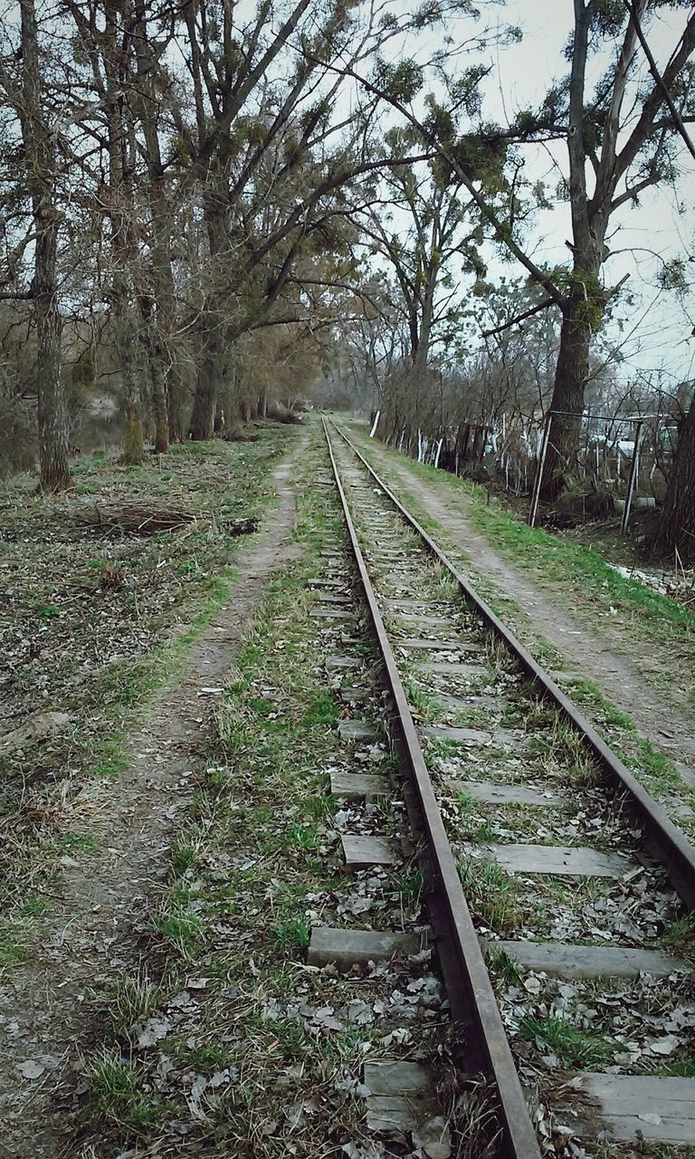 railroad track, rail transportation, the way forward, transportation, tree, diminishing perspective, vanishing point, railway track, growth, public transportation, straight, day, sky, nature, outdoors, no people, tranquility, plant, long, clear sky