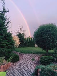 Scenic view of rainbow over trees against sky