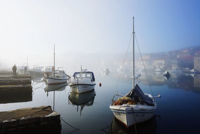 Sailboats moored in harbor against clear sky