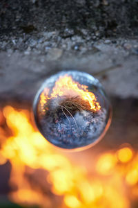 Close-up of orange burning on field