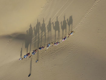 People walking on beach