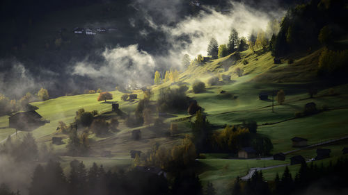 Beautiful mountain landscape with fog in the morning. carpathians, ukraine