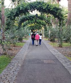 Rear view of people walking on footpath in park