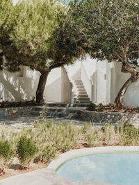 Courtyard on sunny day