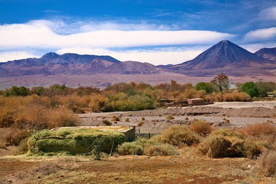 Scenic view of landscape and mountains against sky