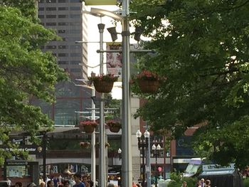 Buildings in city