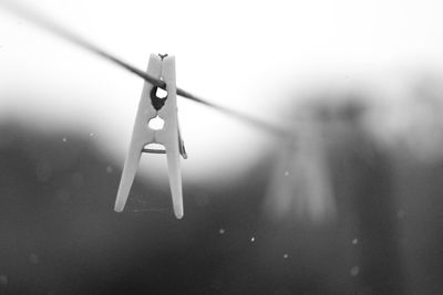 Close-up of water drops hanging on clothesline