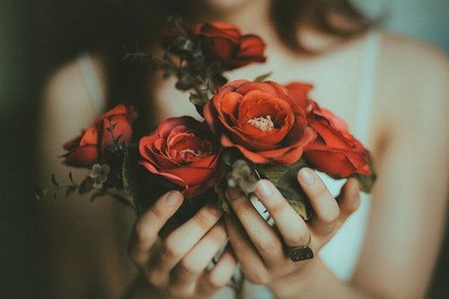 flower, indoors, freshness, petal, close-up, red, rose - flower, focus on foreground, flower head, fragility, rose, person, bouquet, selective focus, holding, single flower, beauty in nature, bunch of flowers