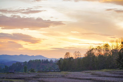 Scenic view of field against sky during sunset