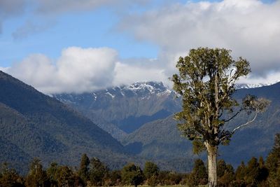 Scenic view of tree mountains against sky