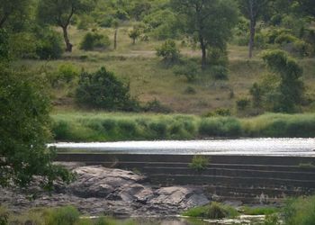 Scenic view of lake