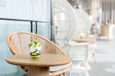 Close-up of potted plant on table