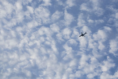 Low angle view of airplane flying in sky