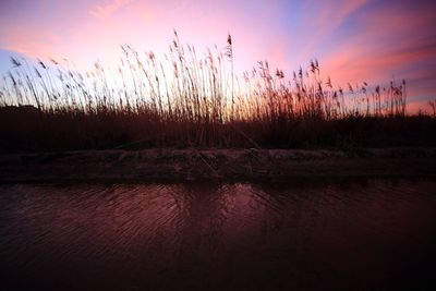 Scenic view of sunset over sea