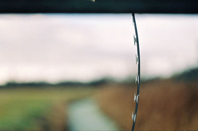 Close-up of water