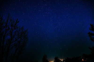 Low angle view of silhouette trees against star field at night