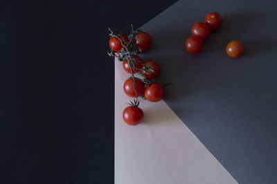 Optical illusion of the climbing of cherry tomatoes in a rope