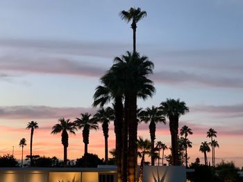 Silhouette palm trees against sky during sunset