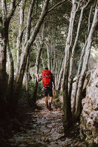 Full length of woman walking in forest