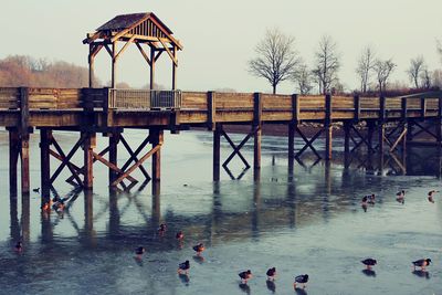 People swimming in lake against sky