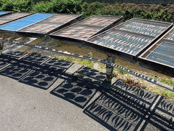 High angle view of plants growing on roof