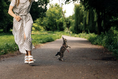 Side view of woman walking on road